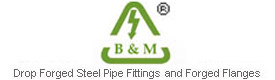 B&M (Drop Forged Steel Pipe Fittings and Forged Flanges)